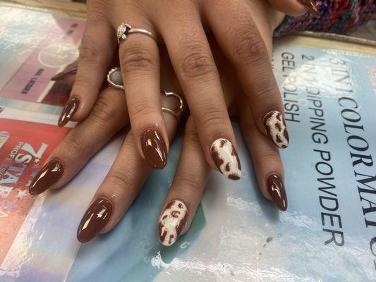 Acrylic set with cow print accents