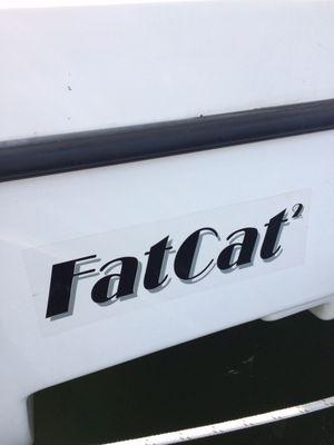 #FATCAT !!!!