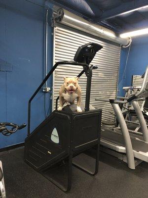 Lott loves the StairMaster!