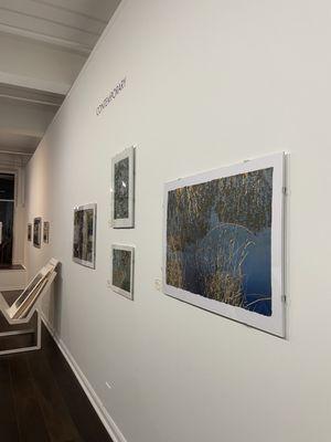 Interior view of artworks on the Contemporary wall