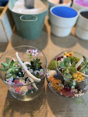 Terrariums