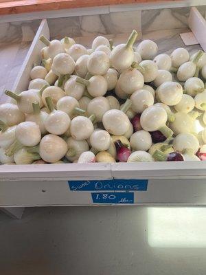 Beautiful sweet onions!