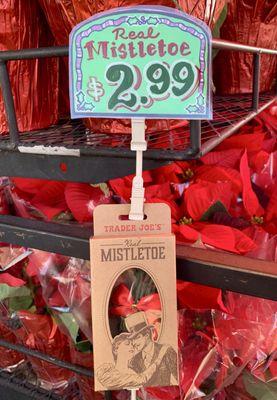 Real Mistletoe $2.99