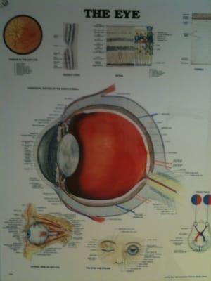 Eyeball chart!