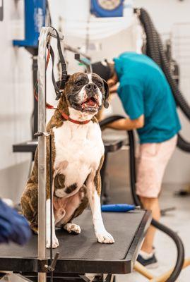 Colby even stops by for Spa Days when his schedule allows - running a Daycare is hard work!