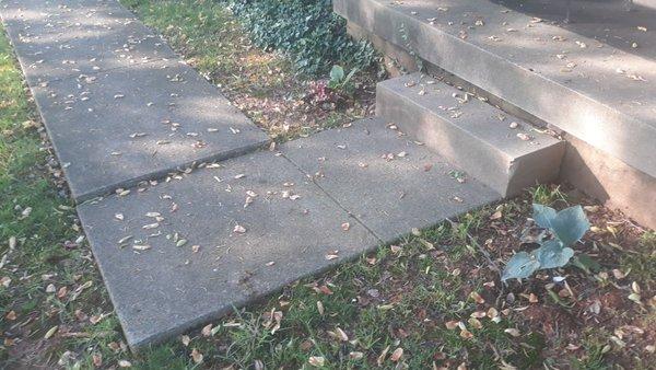 Need sidewalk and step leveling. Do you do this type work?  Ben Stevens 3403 ascot circleLouisville 40241  502-203-9068