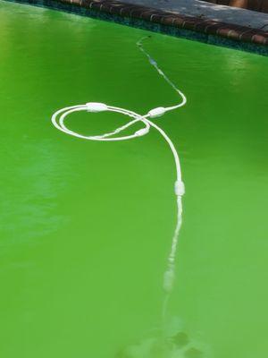 Our green pool