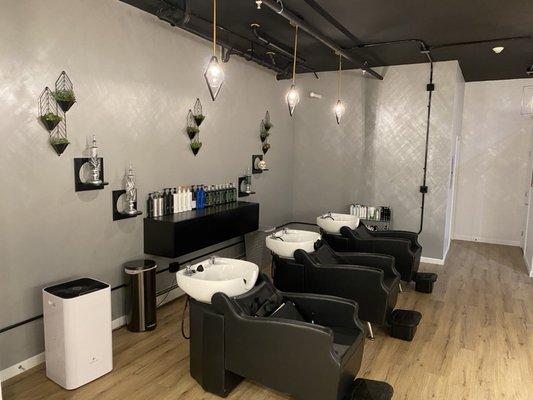 The washouse. It's the best place to be in the salon.