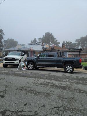 Pacific grove removal in progress.