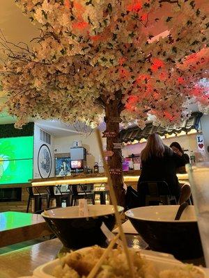 Cherry Tree inside