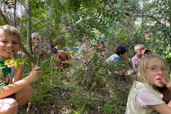 Shush! Hiding from the predators during a game of Hide & Hunt