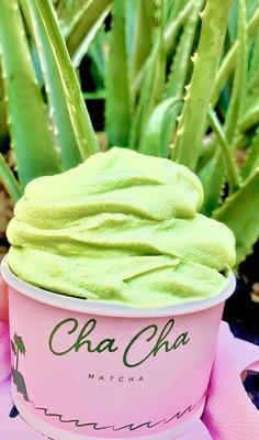 Cha Cha Matcha soft serve next to the Aloe Vera