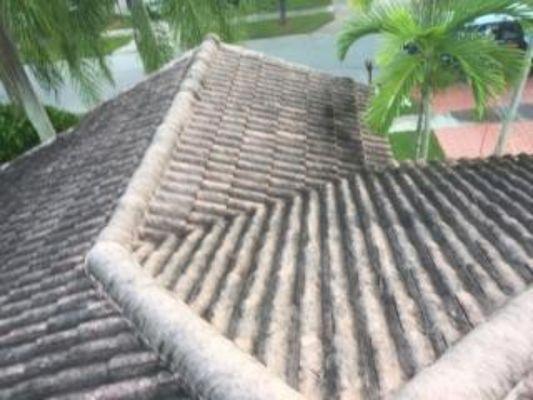 Before Soft Wash Roof Cleaning- Boynton Beach