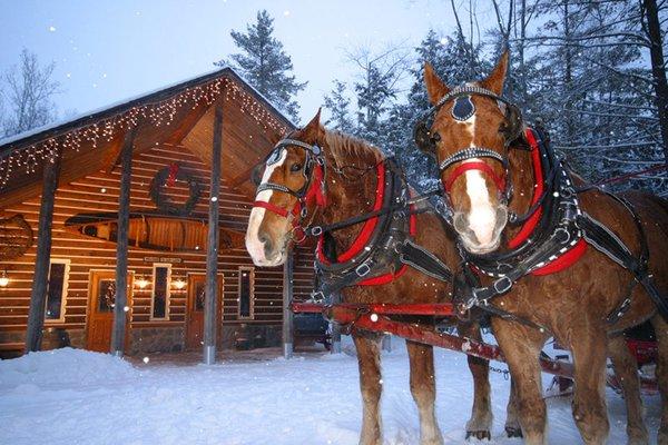 Belgians in front of dinner hall.    Not my pic. Got this from the web.