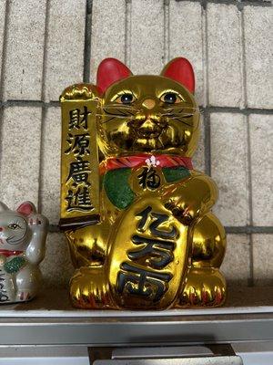 The Lucky Cat we took home.