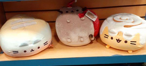 Pusheen, kitty plushy, and a cinnamon roll kitty plushy. 1/1/24