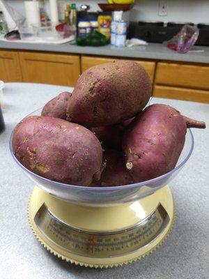 Asian sweet potatoes