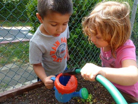 Learning through doing-How does a garden grow?