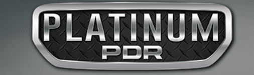 Platinum PDR Plus Paint