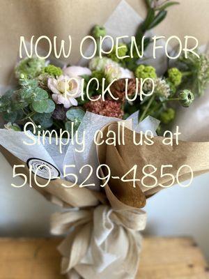 Now open for pick up. Simply call us at 510-529-4850