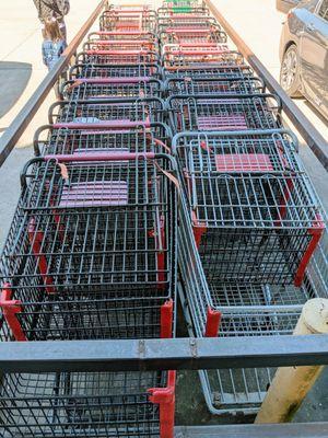 Shopping Carts