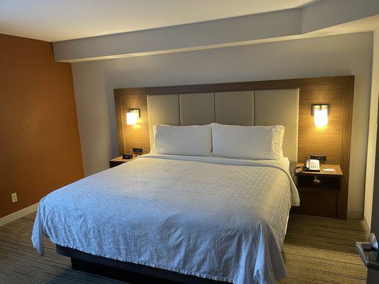 Holiday Inn Express & Suites Seattle-Sea-Tac Airport, an IHG Hotel