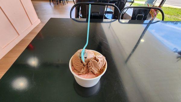 Chocolate & Strawberry scoops