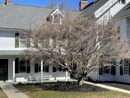 Lyman Homestead House