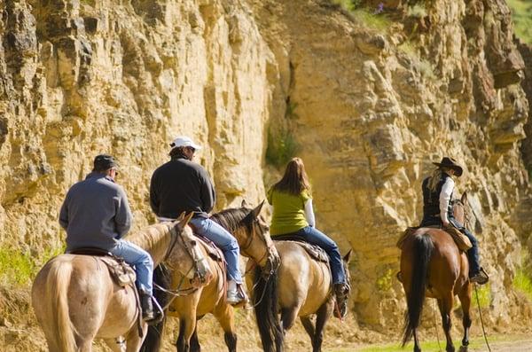 Arizona Riders 