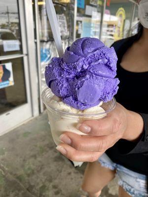 Ube and Macadamia nut ice cream