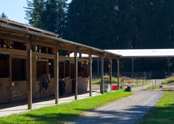 Main barn with arena in background.