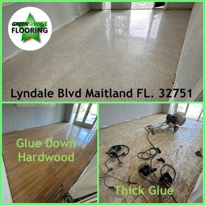 Terrazzo Restoration after hardwood floor removal