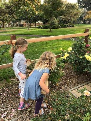 Stopping and smelling the roses-LITERALLY