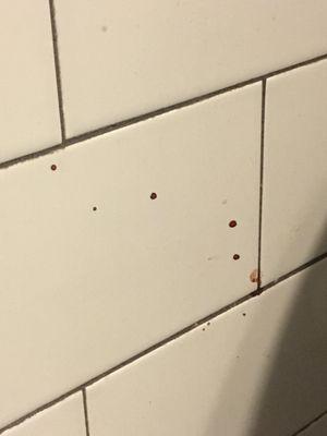 Dried blood on women's bathroom wall