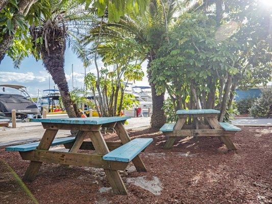 Grab a treat and have a seat at the picnic tables near the ocean