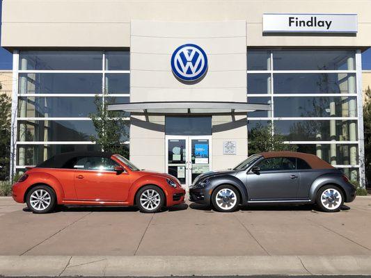 Findlay Volkswagen