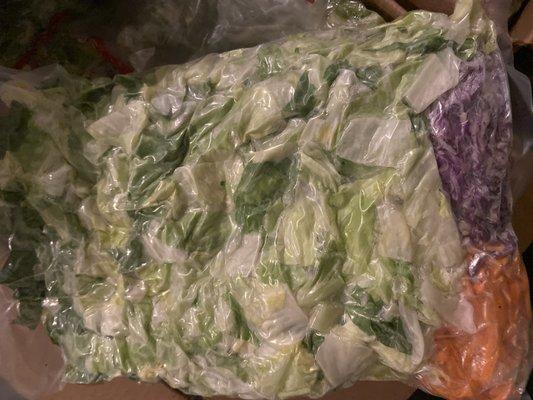 4-Way Tossed Salad Mix (Iceberg & Romaine Lettuce, Shredded Carrots & Shredded Red Cabbage)