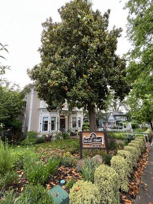 We stayed at historic McCall House when in Ashland