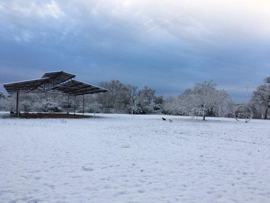 Our pavilion and the whole farm saw more snow in 2017 than we've had in 30 years!