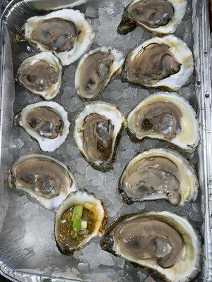 Atlantic Blue Point Oysters