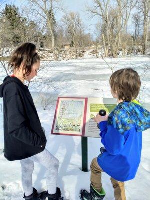 Learning about nature and art.