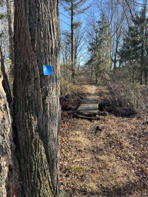 The Blue Trail near Conover Road