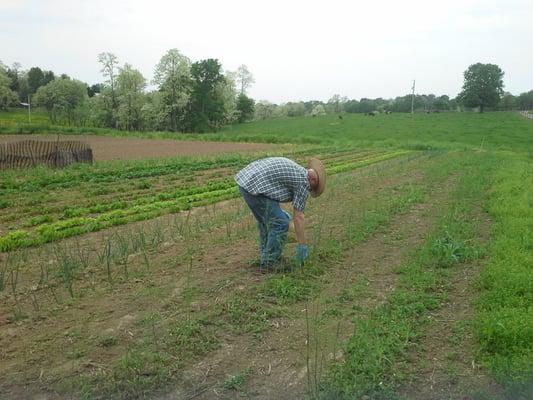 Farm fresh produce available every Saturday at our local farm market.