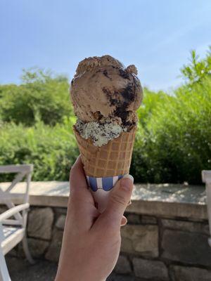 Cappuccino crunch and mint chocolate. So good!