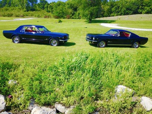 1965 Mustangs