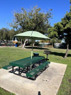 Picnic table with bbq