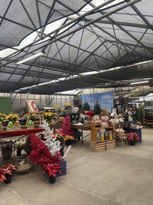 Shady Lane Greenhouses