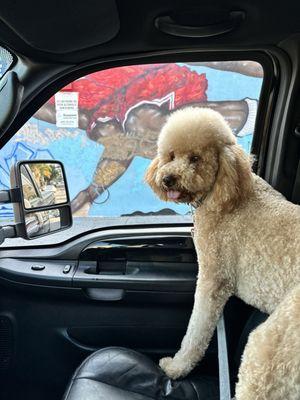 Perfect fro!