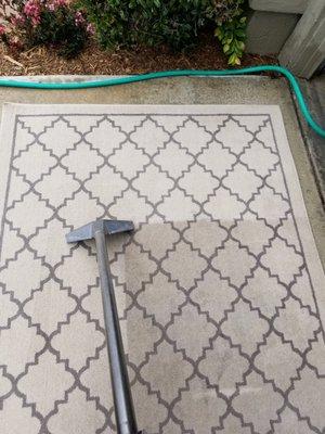 Area rug cleaning by Fry'sCarpet Cleaning in Encinitas