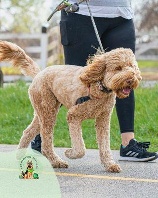 A great walk with some wind